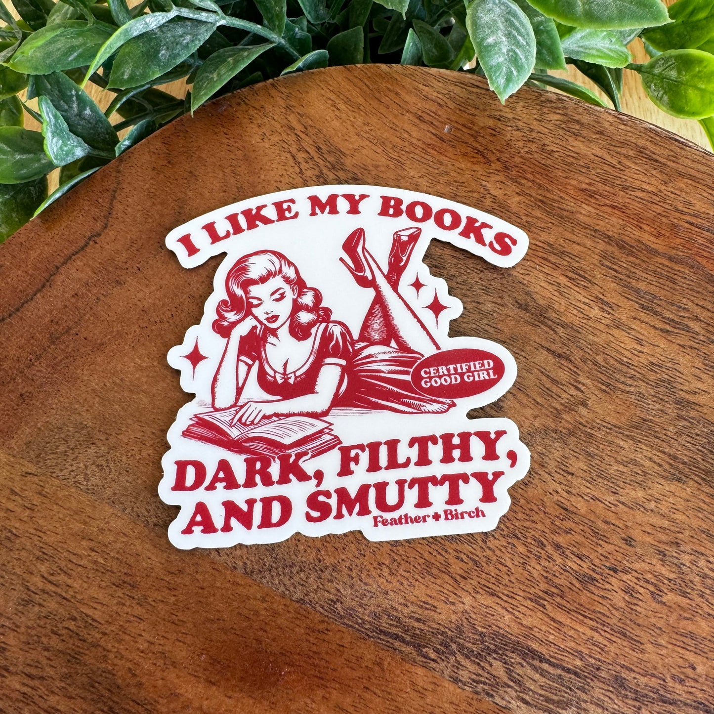 I like my books sticker